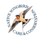 Native Songbird Care & Conservation